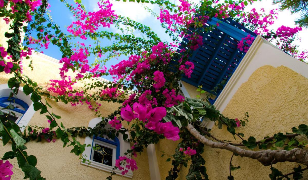 Hotel Zeus คามารี ภายนอก รูปภาพ
